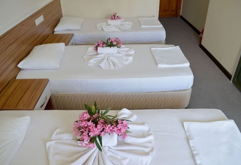 Quarto Triplo Estandar, Seda
