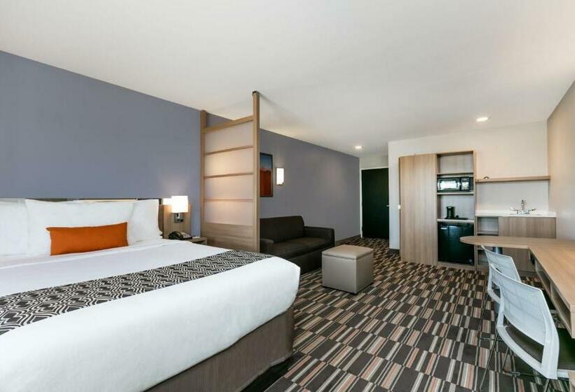 스탠다드 스튜디오, Microtel Inn And Suites By Wyndham Monahans