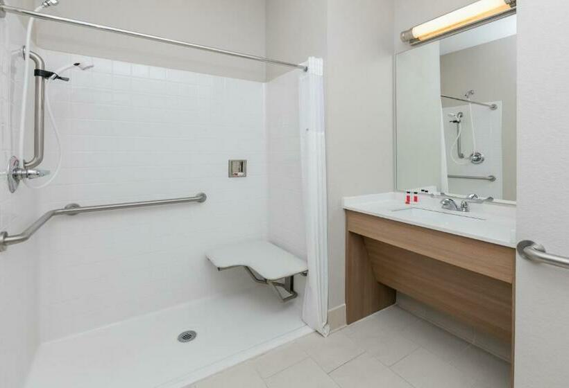 חדר סטנדרט, Microtel Inn And Suites By Wyndham Monahans