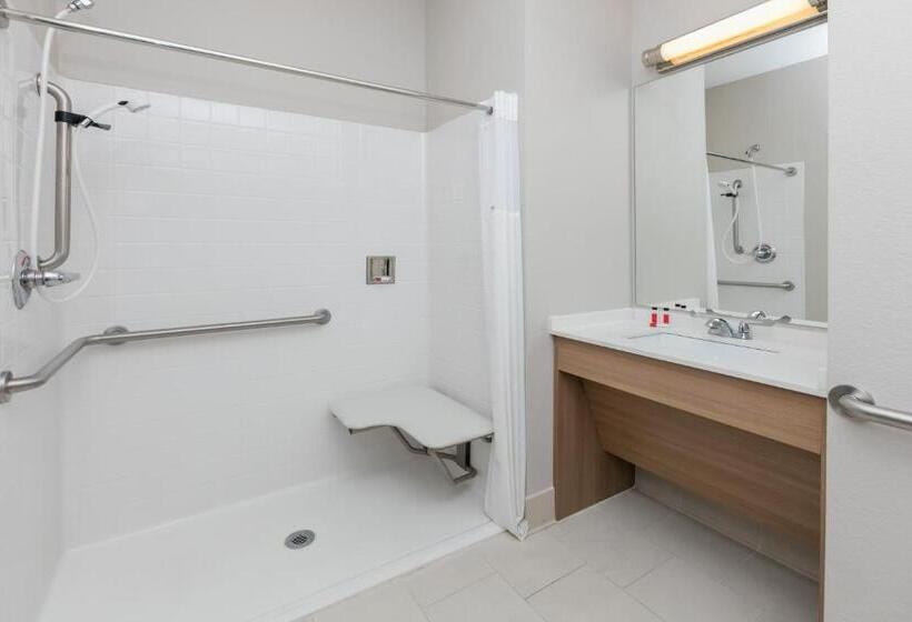 장애인을 위한 스탠다드 룸, Microtel Inn And Suites By Wyndham Monahans
