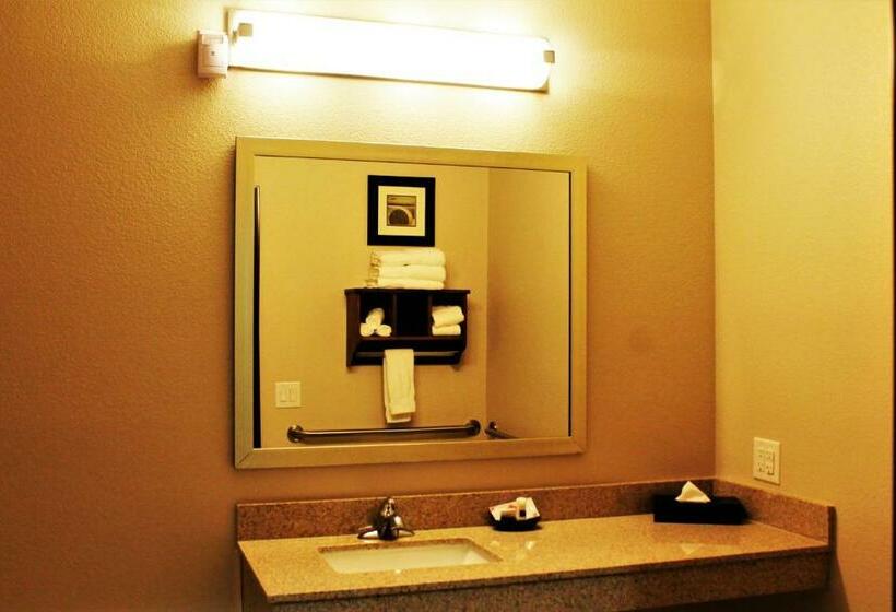Номер Стандарт Адаптированный для Инвалидов, Best Western Plus Denver City Hotel & Suites