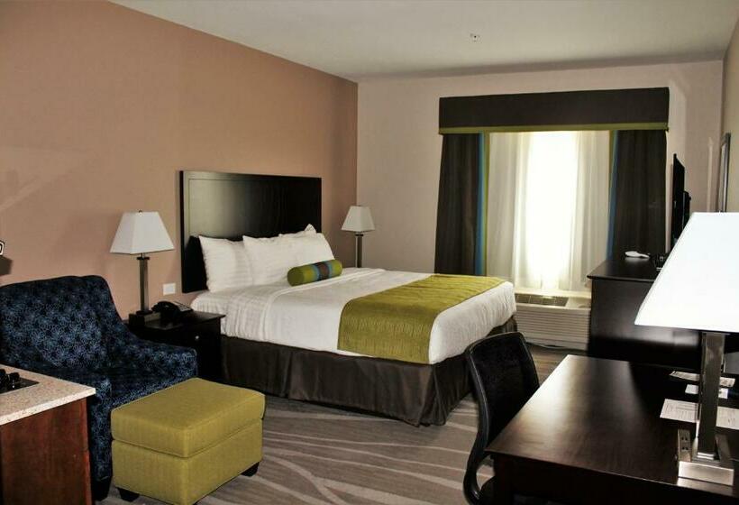 Номер Стандарт с Кухней, Best Western Plus Denver City Hotel & Suites
