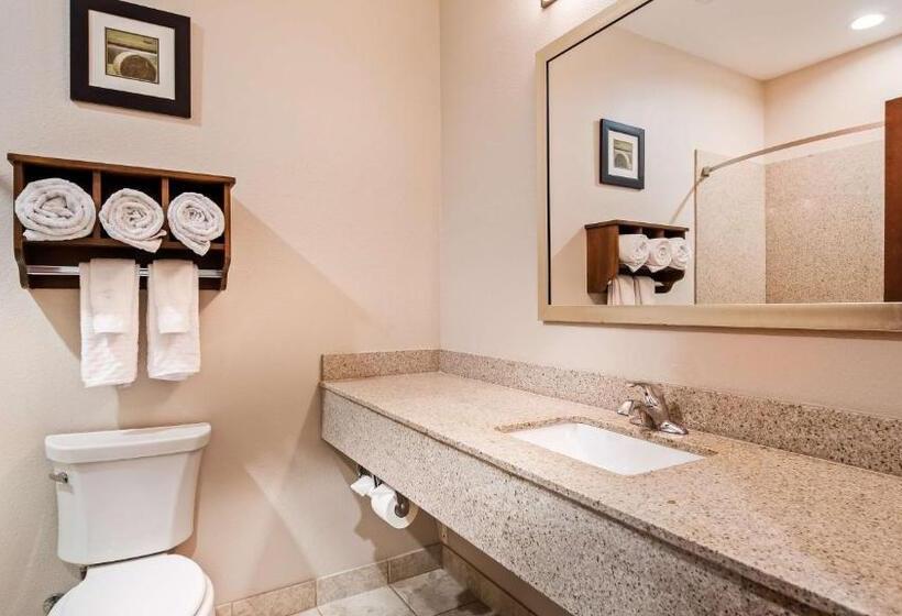 Люкс Кровать Кинг, Best Western Plus Denver City Hotel & Suites