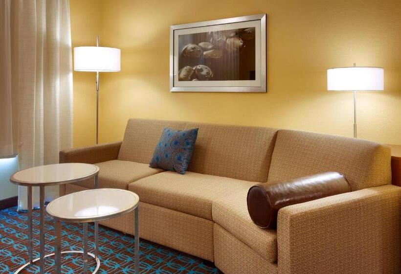 Люкс Кровать Кинг, Fairfield Inn & Suites By Marriott Salt Lake City Midvale