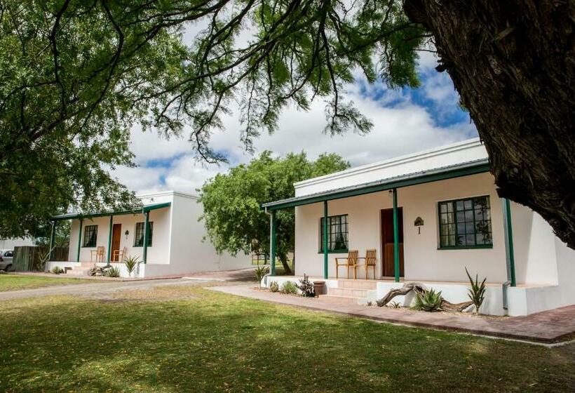 Шале 1 Спальня, Olive Grove Guest Farm