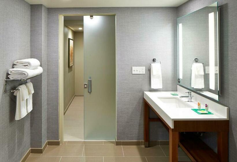 سوئیت با تخت بزرگ, Hyatt Place Lansing East