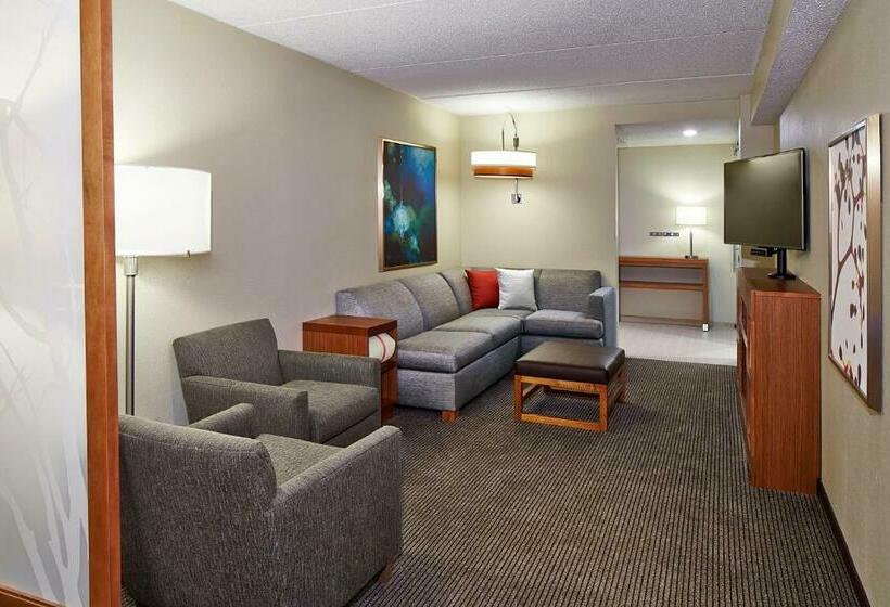 Люкс Кровать Кинг, Hyatt Place Lansing East