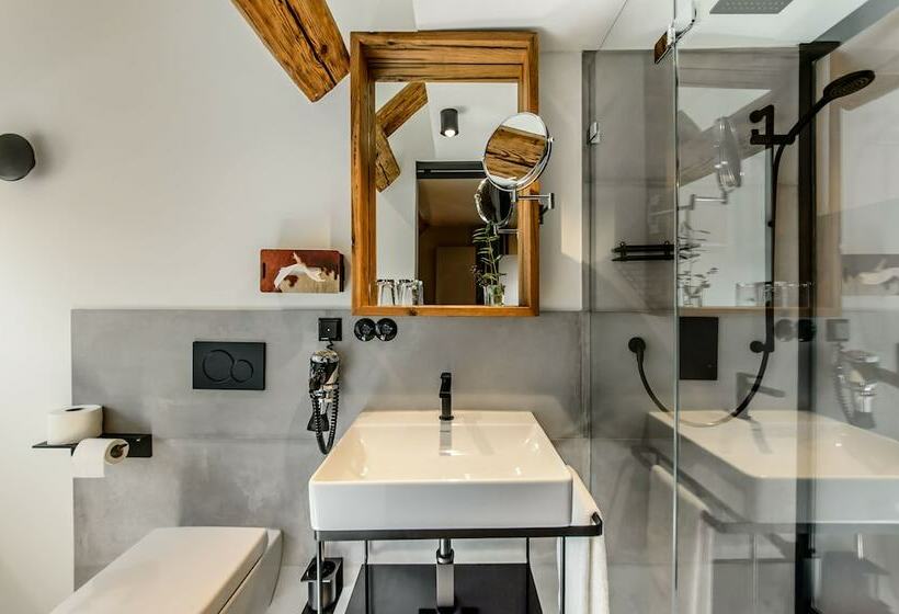 스탠다드 룸, Bio Hotel Adler