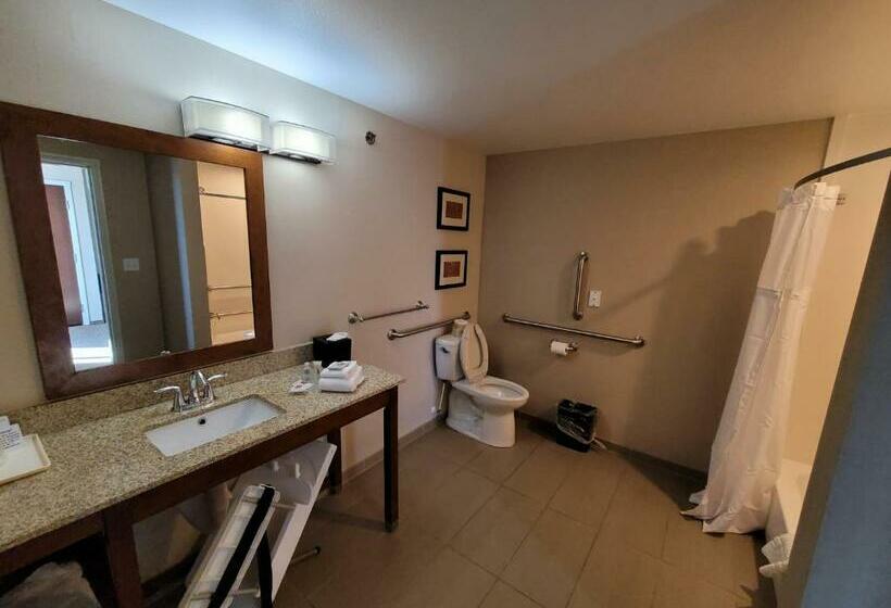 适合残疾人士使用的套间, Comfort Suites Kanab National Park Area