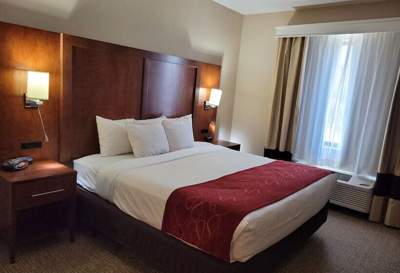 适合残疾人士使用的套间, Comfort Suites Kanab National Park Area