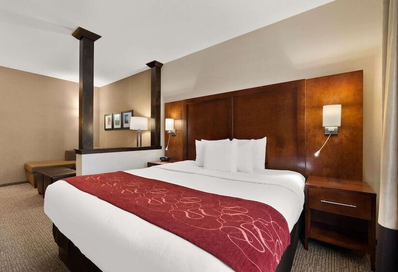 适合残疾人士使用的套间, Comfort Suites Kanab National Park Area