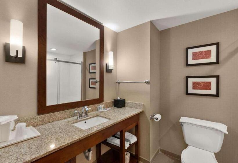 带大床的套房, Comfort Suites Kanab National Park Area