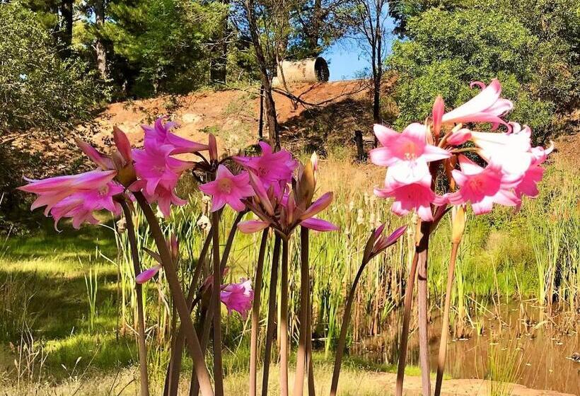 오두막, Sutton Spring Art Retreats