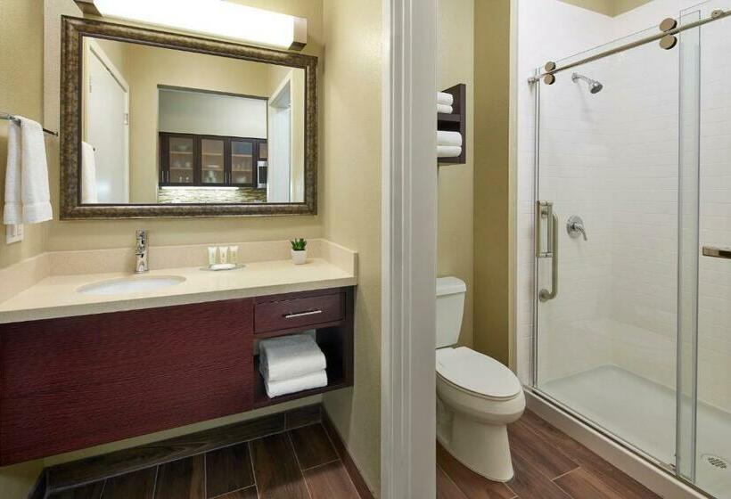 带大床的标准工作室, Staybridge Suites Anaheim At The Park, An Ihg