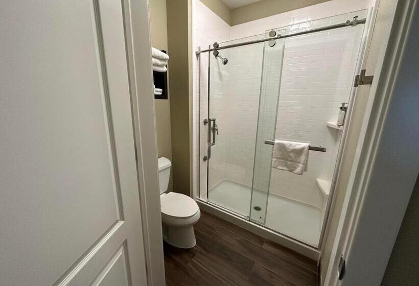 标准工作室, Staybridge Suites Anaheim At The Park, An Ihg
