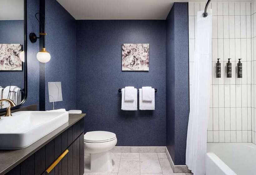 اتاق استاندارد با تخت بزرگ, Hilton Garden Inn New York Times Square North
