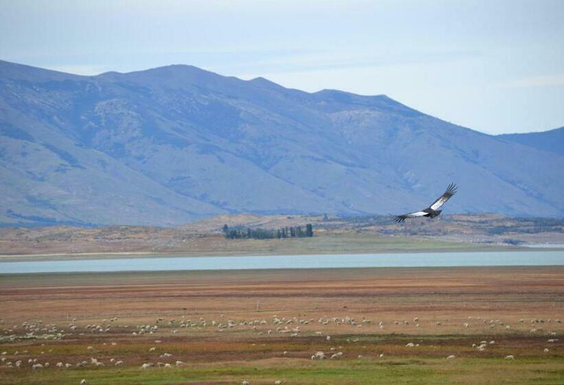 اتاق استاندارد, Madretierra Patagonia