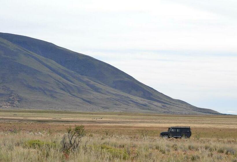 اتاق استاندارد, Madretierra Patagonia