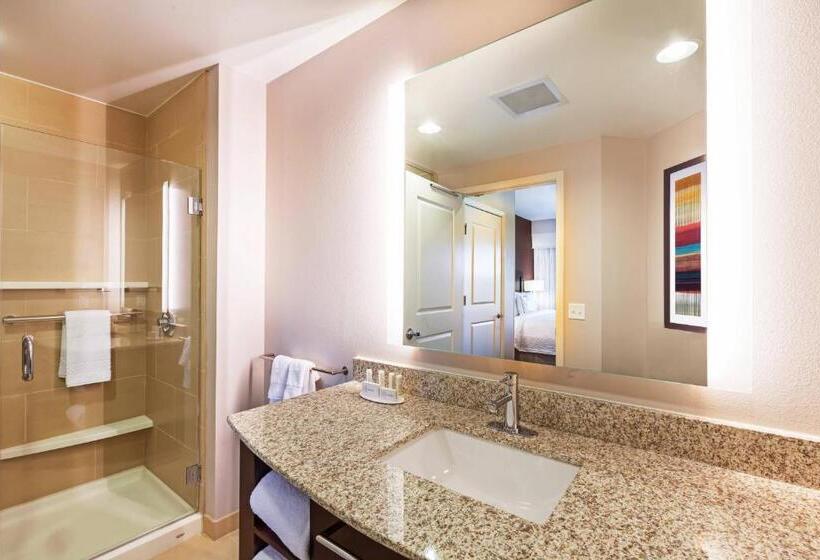 带城市景观的标准工作室, Residence Inn By Marriott Austin Northwest/the Domain Area