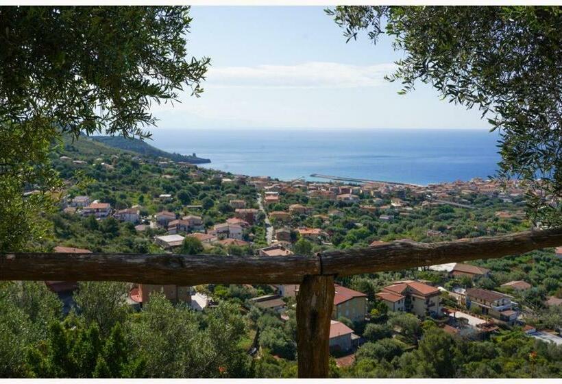 آپارتمان 1 خوابه با چشم‌انداز دریا, Residence Belvedere