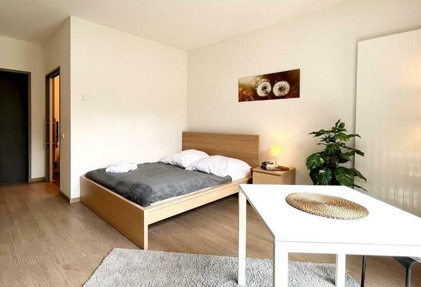 Номер Стандарт, Residenciano Celle