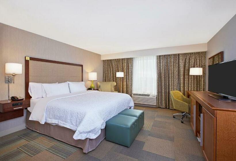 장애인을 위한 킹사이즈 침대 스탠다드 룸, Hampton Inn By Hilton West Bloomfield Novi