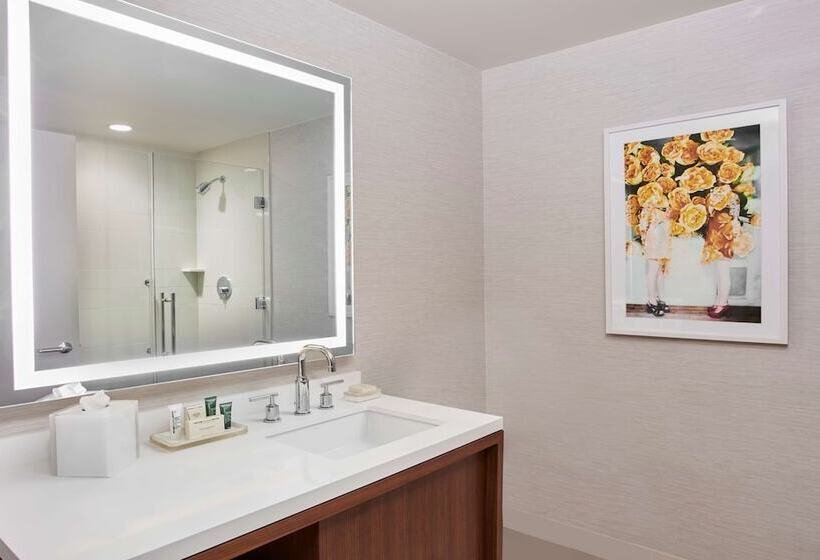 Номер Deluxe Адаптированный для Инвалидов, Hilton West Palm Beach