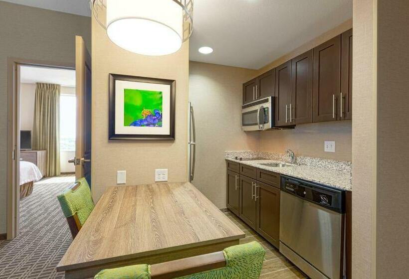 适合残疾人士使用的套间, Homewood Suites Houston Downtown