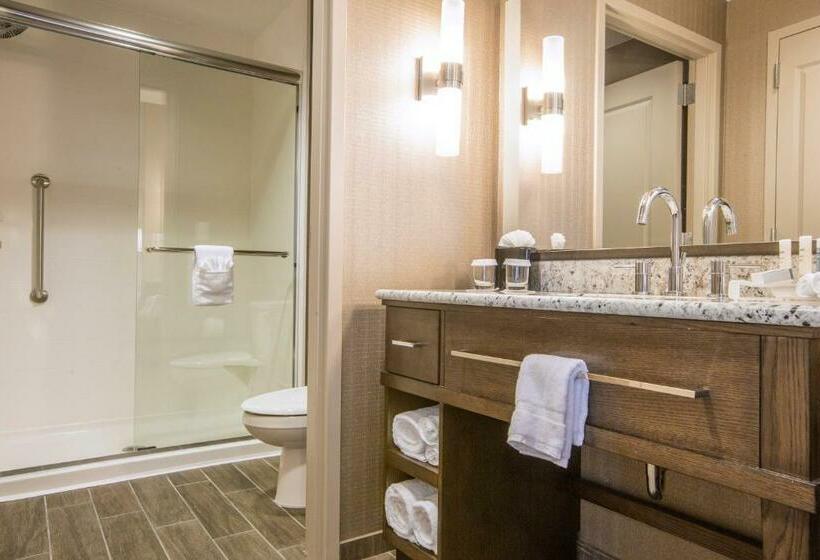 带大床的复式套间, Homewood Suites Houston Downtown