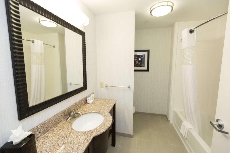 带大床的标准工作室, Homewood Suites Houston Downtown