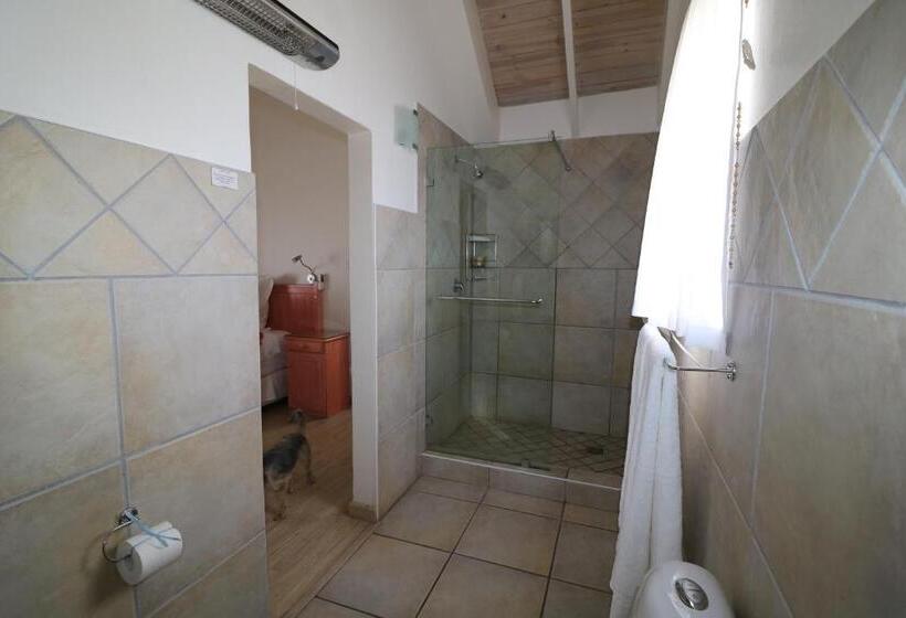 Номер Deluxe с Балконом, Baywatch Guest House
