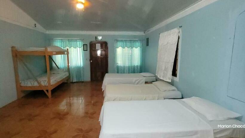 Bed in Shared Room with Shared Bathroom, Sweet Gulf Hostel