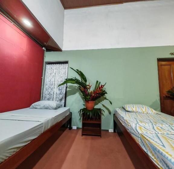 تختخواب در اتاق مشترک, Sweet Gulf Hostel