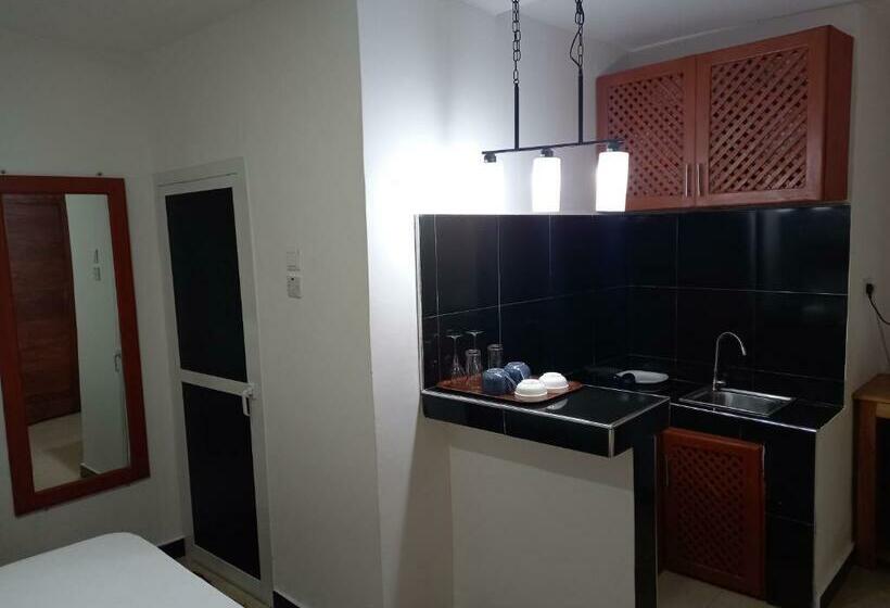 استودیو استاندارد با چشم‌انداز باغ, Didas Villa
