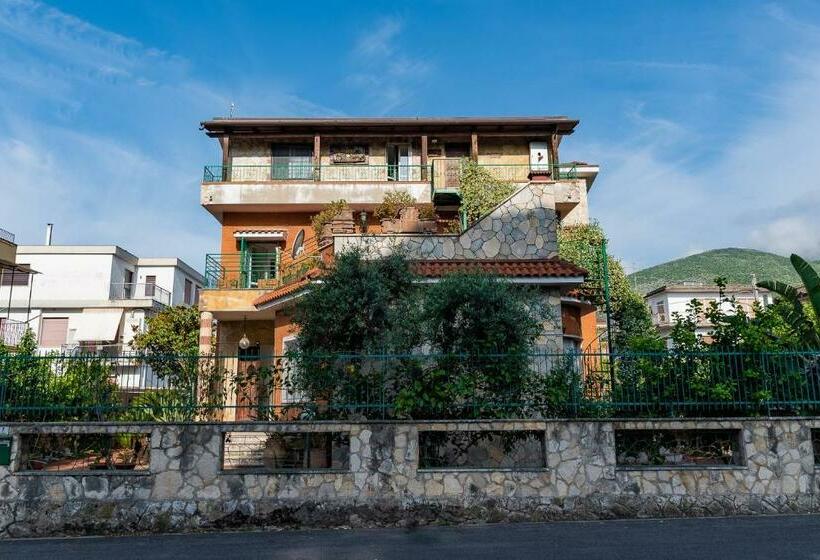 اتاق استاندارد, Beb Villa Mavi