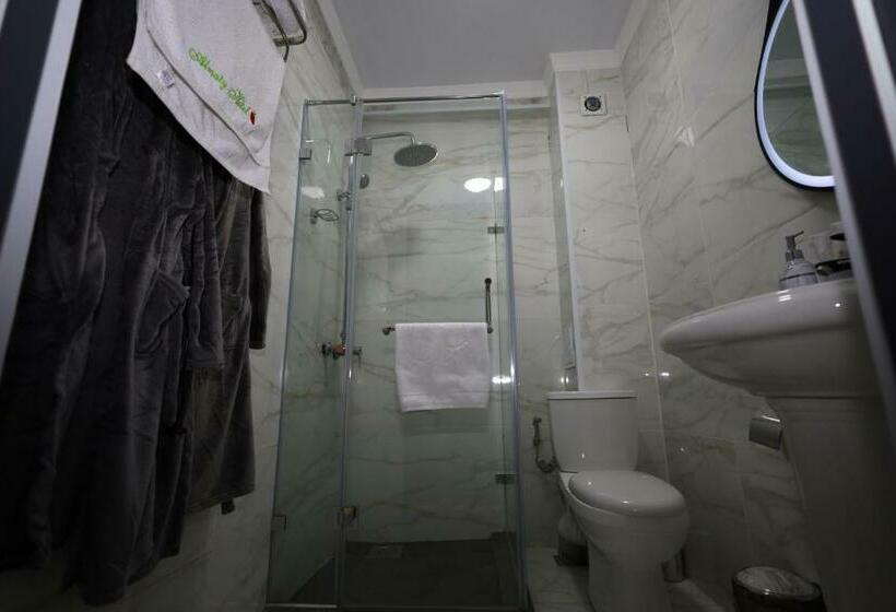 اتاق اکونومی, Almaty City