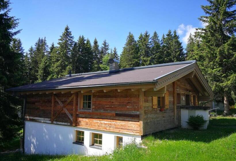 Апартаменты 1 Спальня, Astn Hütten Residenz Waldsicht Königsleiten   Ferienwohnungen
