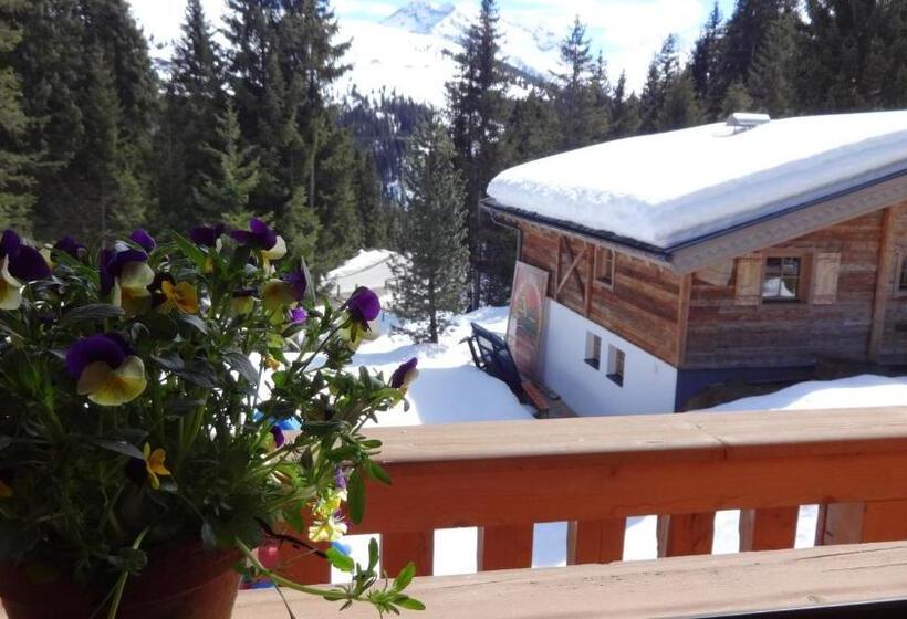 Апартаменты 1 Спальня, Astn Hütten Residenz Waldsicht Königsleiten   Ferienwohnungen
