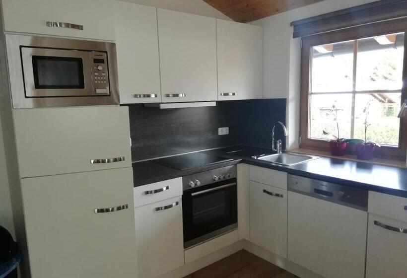 Апартаменты 1 Спальня, Astn Hütten Residenz Waldsicht Königsleiten   Ferienwohnungen