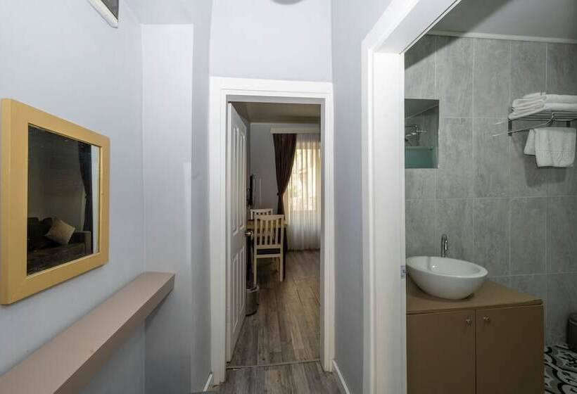 Студия Стандарт, Cirrus Suites