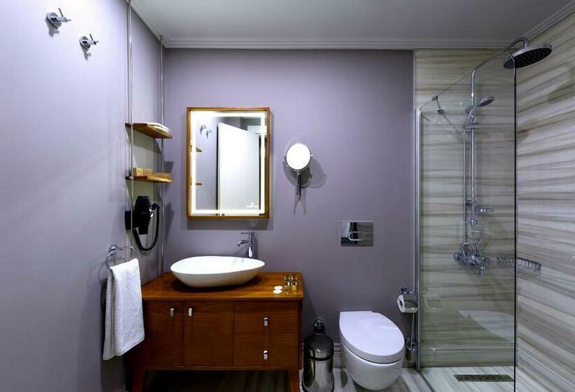 デラックスルーム, Walton Hotels Galata