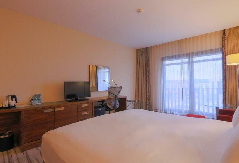 스탠다드 룸 킹사이즈 침대, Hilton Garden Inn Eskisehir