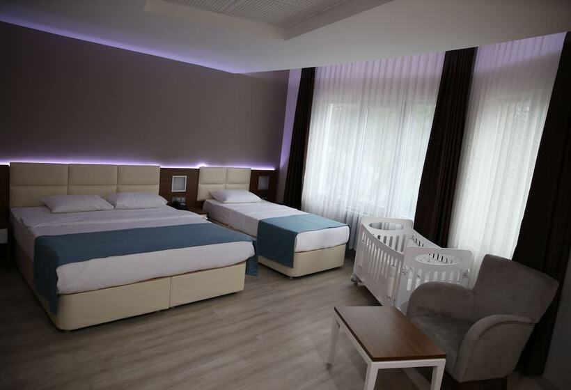豪华三人间, Grand Hotel Artvin