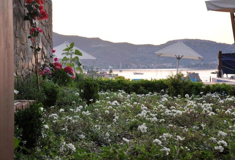 Economy Room, Badem Tatil Evi