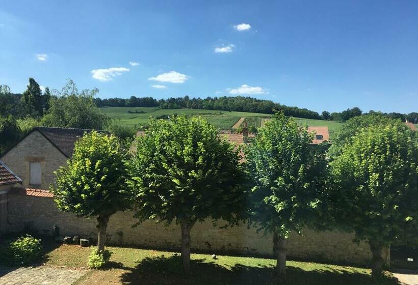 اتاق سوپریور, Le Château D'hermonville B&b / Chambres D'hôtes