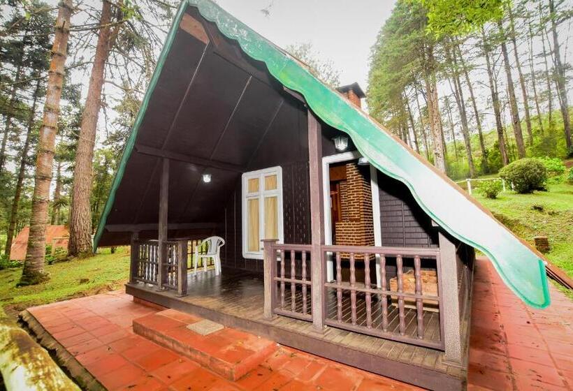 اتاق استاندارد سه نفره, Fazenda Floresta Negra