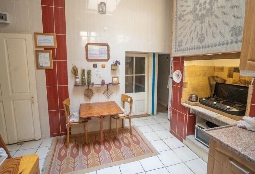 تختخواب در اتاق مشترک, Lotus Garden Hostel Izmir
