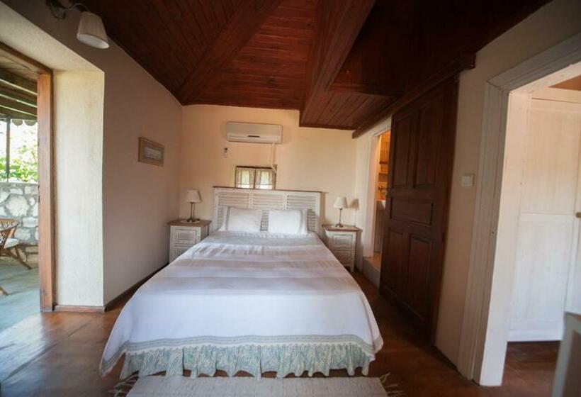 اتاق خانوادگی, Aral Tatil Ciftligi