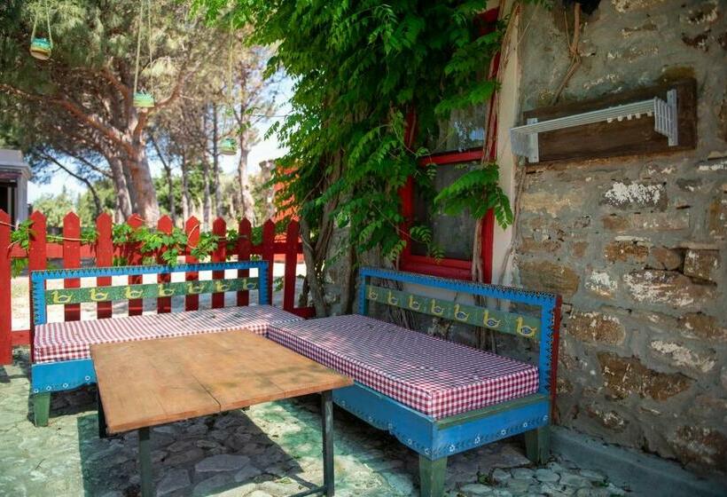 اتاق خانوادگی, Aral Tatil Ciftligi