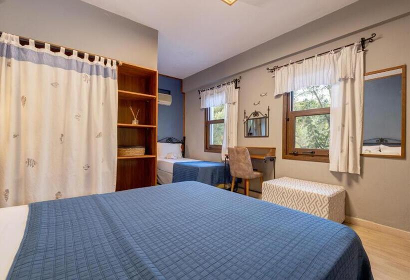 اتاق استاندارد با تراس, Aral Tatil Ciftligi